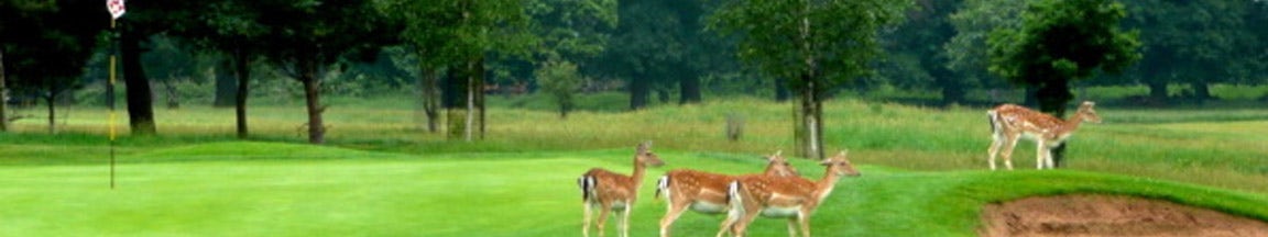 Animal Repellents