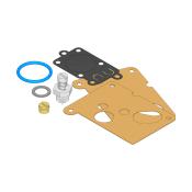 Category Briggs & Stratton Carburetor Overhaul Kits image